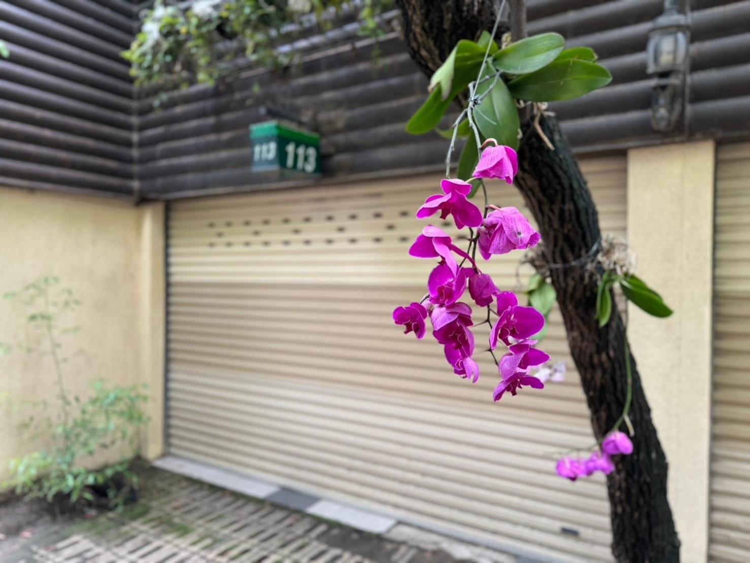 常春藤汽车旅馆 嘉义市 外观 照片